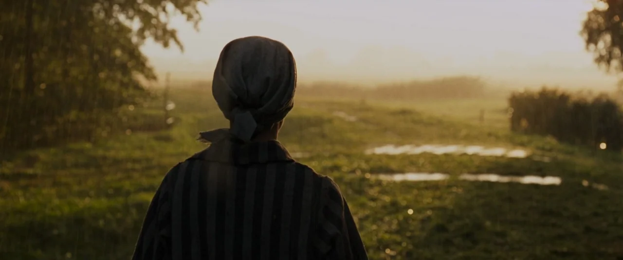 Phoenix (2014) movie still: medium — A rural landscape at dusk features a grassy field with patches of standing water. A person wearing a striped…