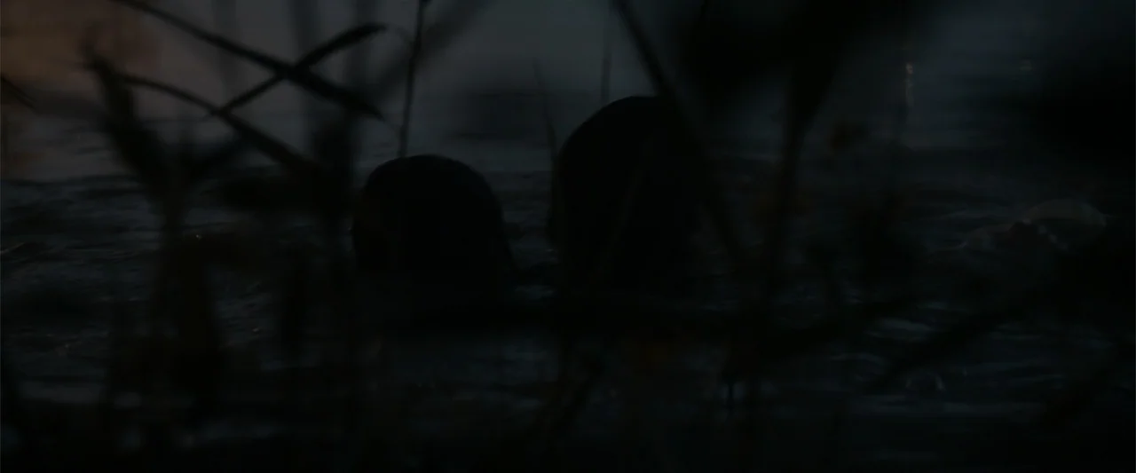 Eiffel (2021) movie still: medium — Two dark, rounded forms are positioned in the middle of a dark, still lake. Dark reeds in the foreground obscure…