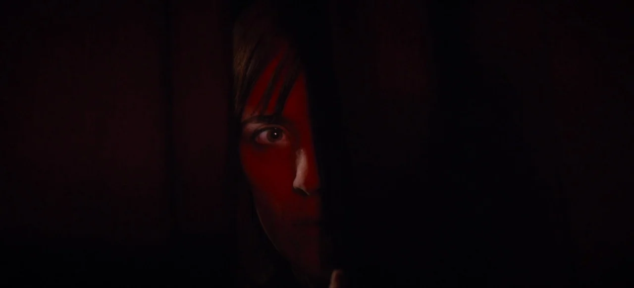 Housewife (2017) movie still: closeup — A dark, obscured interior space masks the majority of the frame in black shadow. A woman's face is partially…