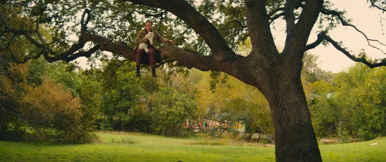 Manglehorn (2014) movie still: wide — A man sits on a thick oak branch in a grassy park setting. The man holds a small fluffy white cat on his lap…