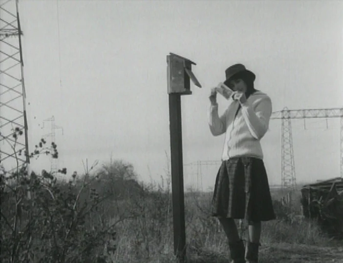 Les Carabiniers (1963) movie still: fullbody — An open grassy field featuring large metal electrical transmission towers in the background. A young…