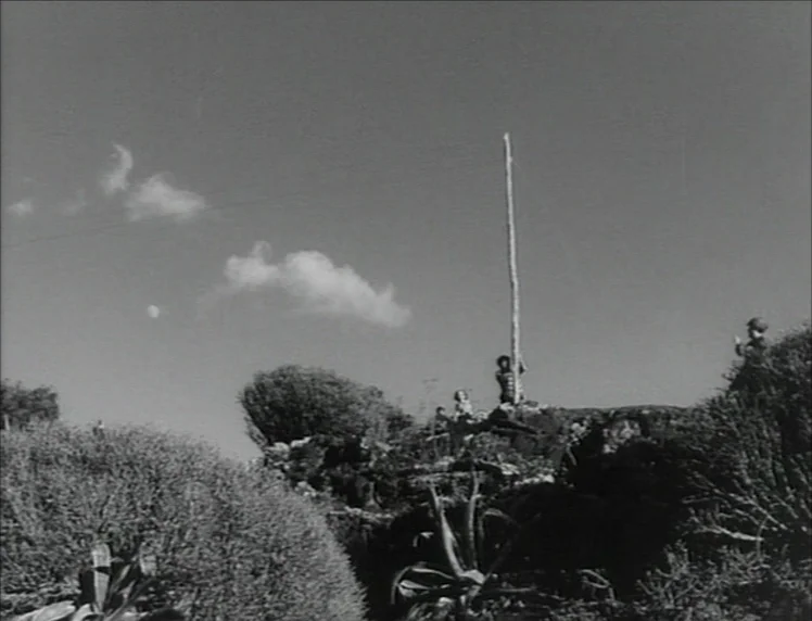 Even Dwarfs Started Small (1970) movie still: wide — A rugged hillside with thick shrubs and rocky terrain under an open sky. A group of individuals…