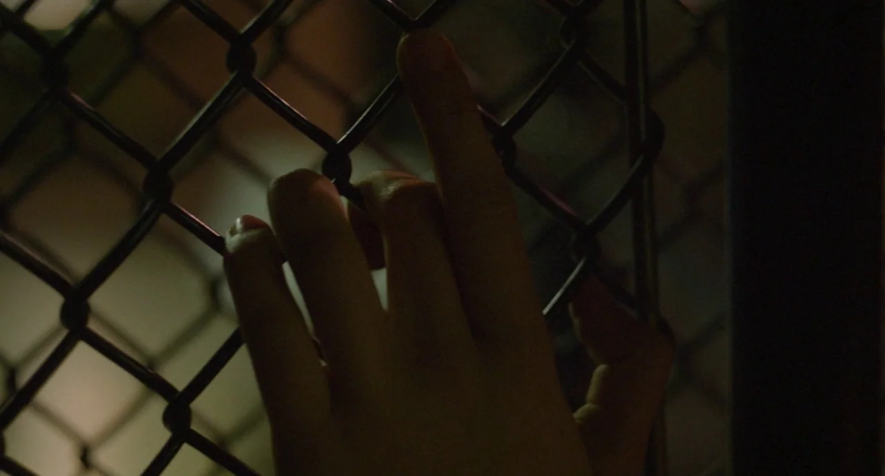 It Felt Like Love (2013) movie still: closeup — A close-up view of a metal chain-link mesh in a dark interior space. A hand grips the wire fencing…