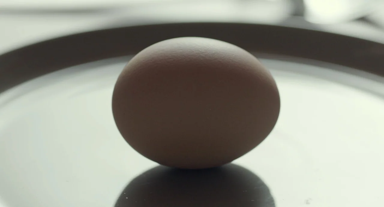 En lo profundo del bosque movie still: closeup — A single brown egg rests centered on a shiny, dark, reflective plate. The background is a clean,…