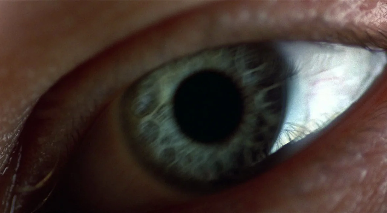 Cube (1997) movie still: closeup — A extreme close-up of a human eye shows the texture of the iris. The skin around the eye is visible with fine…