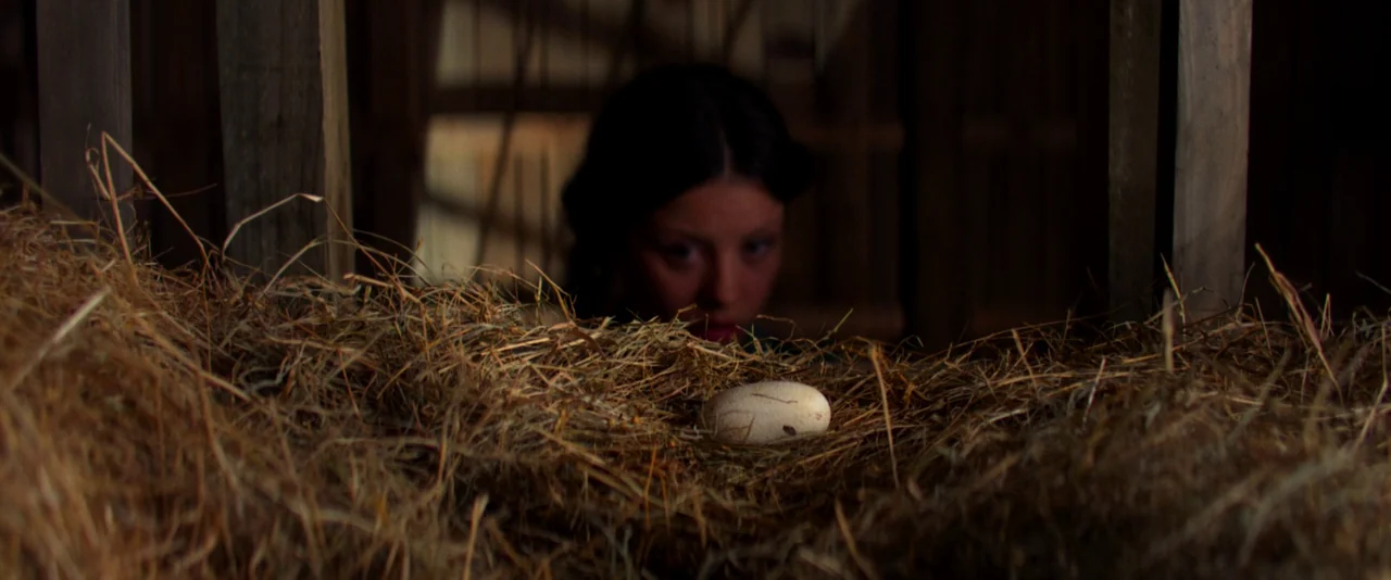 Pearl (2022) movie still: closeup — A dimly lit barn interior features a large pile of dry, golden-brown hay. A woman gazes from behind the hay at a…