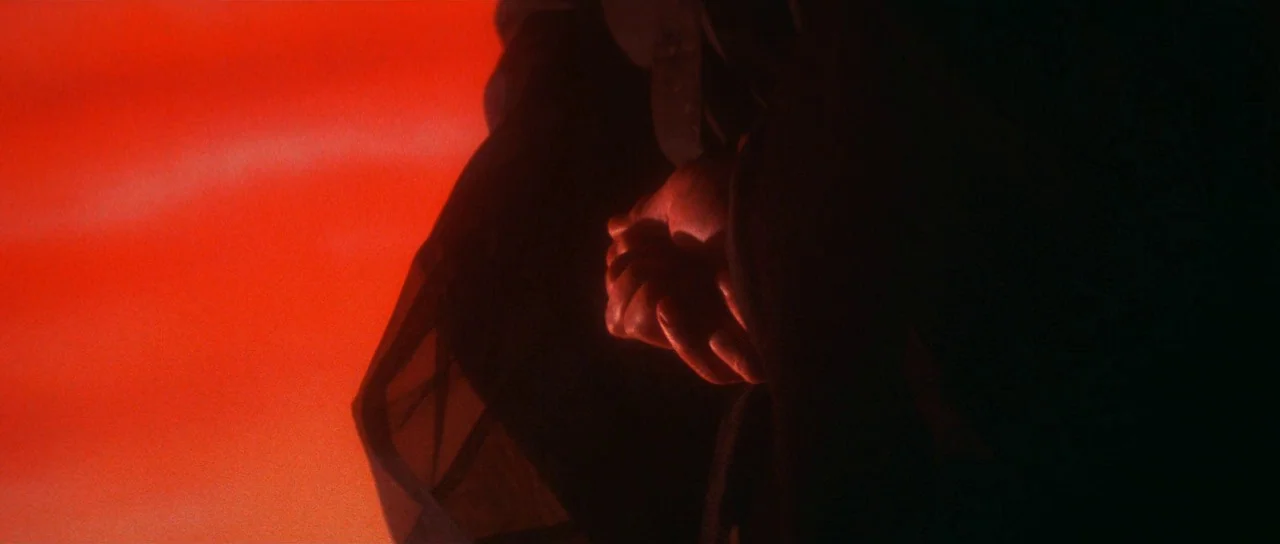 The Bride With White Hair (1993) movie still: A haunting, minimalist extreme closeup focusing on a pair of interlaced hands set against an endless,…