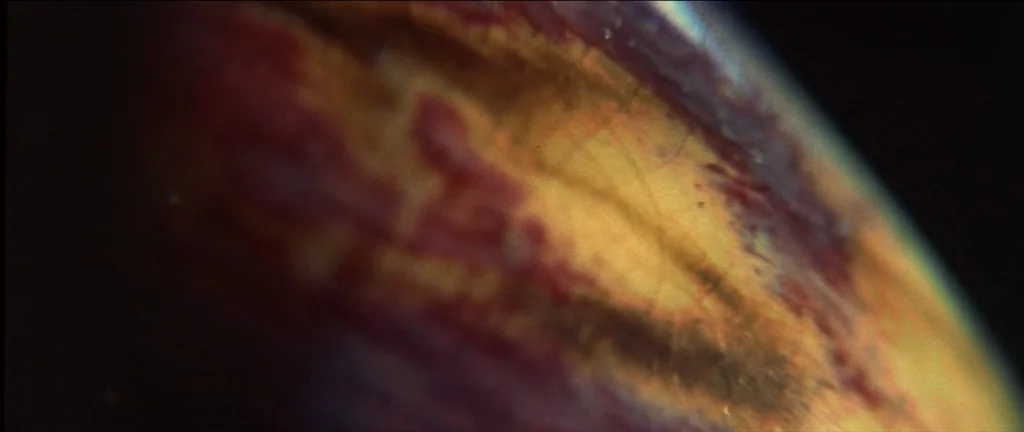 McCabe & Mrs.Miller (1971) movie still: closeup — A close-up view shows organic, textured surfaces resembling weathered skin or organic matter. Deep…
