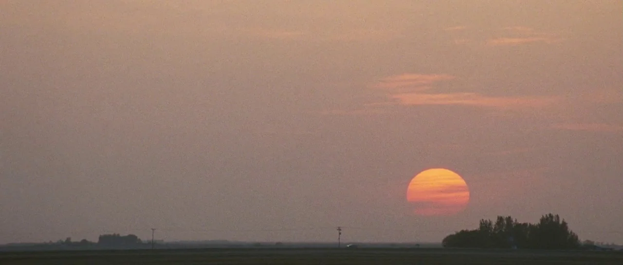 Surveillance (2008) movie still: establishing — A flat, desolate landscape stretches toward a horizon under a vast, hazy sky. The sun hangs low in…