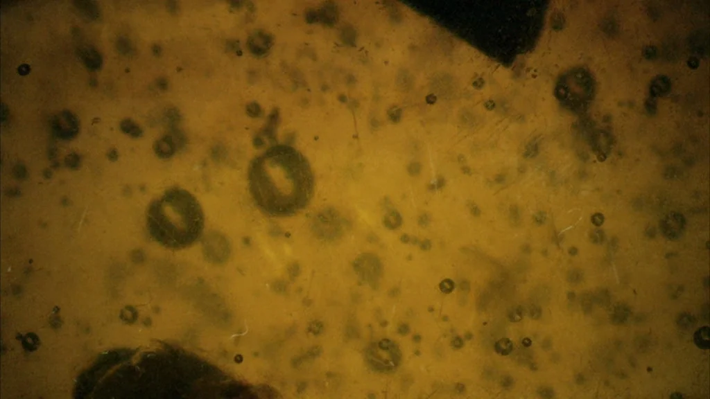 Everything Is Illuminated (2005) movie still: closeup — The frame shows a translucent, amber-colored fluid filled with small, circular air bubbles.…
