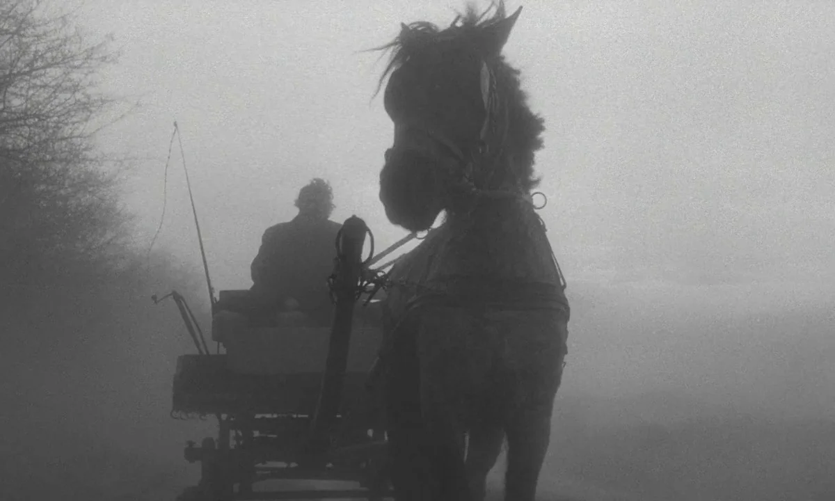 The Turin Horse (2011) movie still: medium — A horse-drawn cart travels down a narrow rural road surrounded by thick grey fog. A lone person sits at…