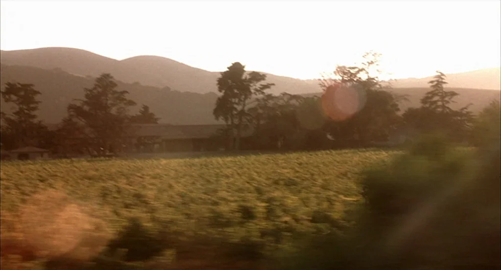 Sideways (2004) movie still: establishing — An open vineyard landscape stretches toward low hills under a soft golden sky. Rows of grapevines…