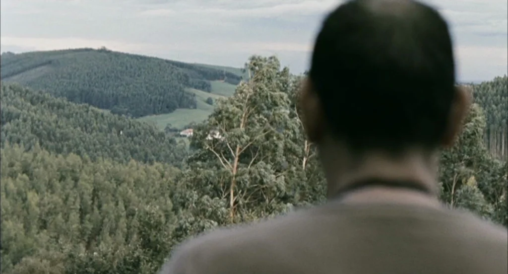 Timecrimes (2007) movie still: medium — A rolling green landscape covered with dense eucalyptus trees extends under a cloudy sky. A man stands in…
