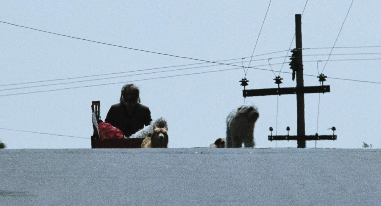 Amores Perros (2000) movie still: wide — A man and his dogs sit atop a raised embankment against a clear sky. A utility pole with crossing power…