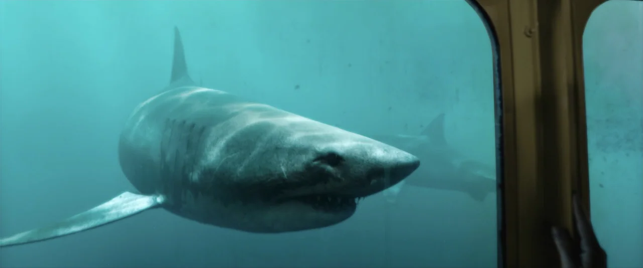 Anaconda (2024) movie still: medium — A large shark approaches a metal cage viewing window submerged in murky ocean water. The shark fills the…