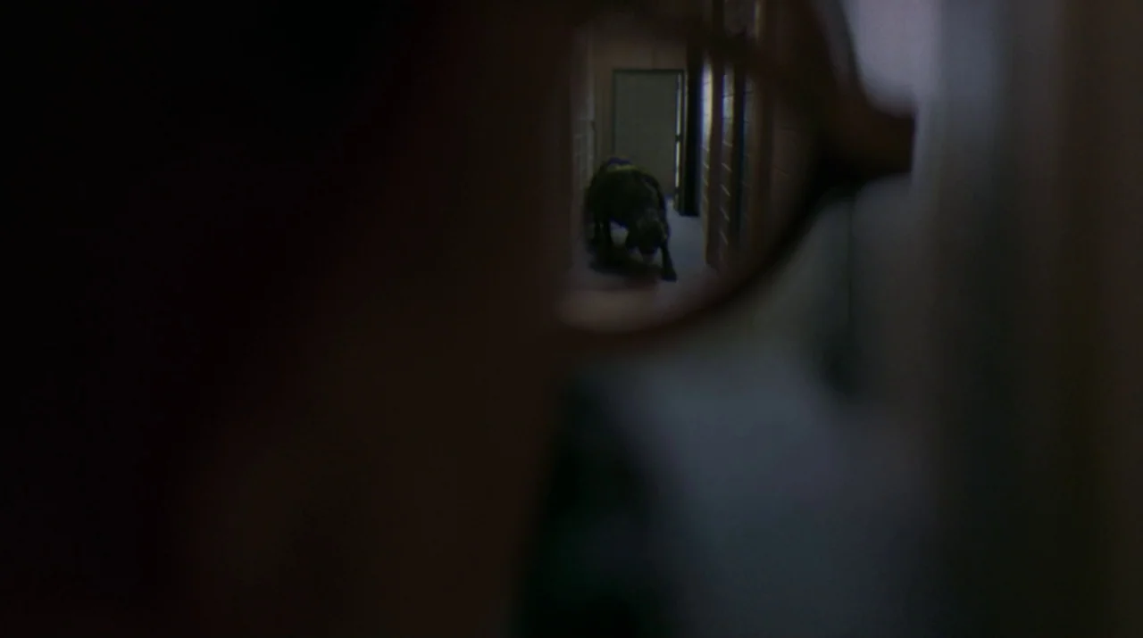 Lady in the Water (2006) movie still: wide — A dark hallway with block walls appears through a small circular opening. A dog stands in the distance…