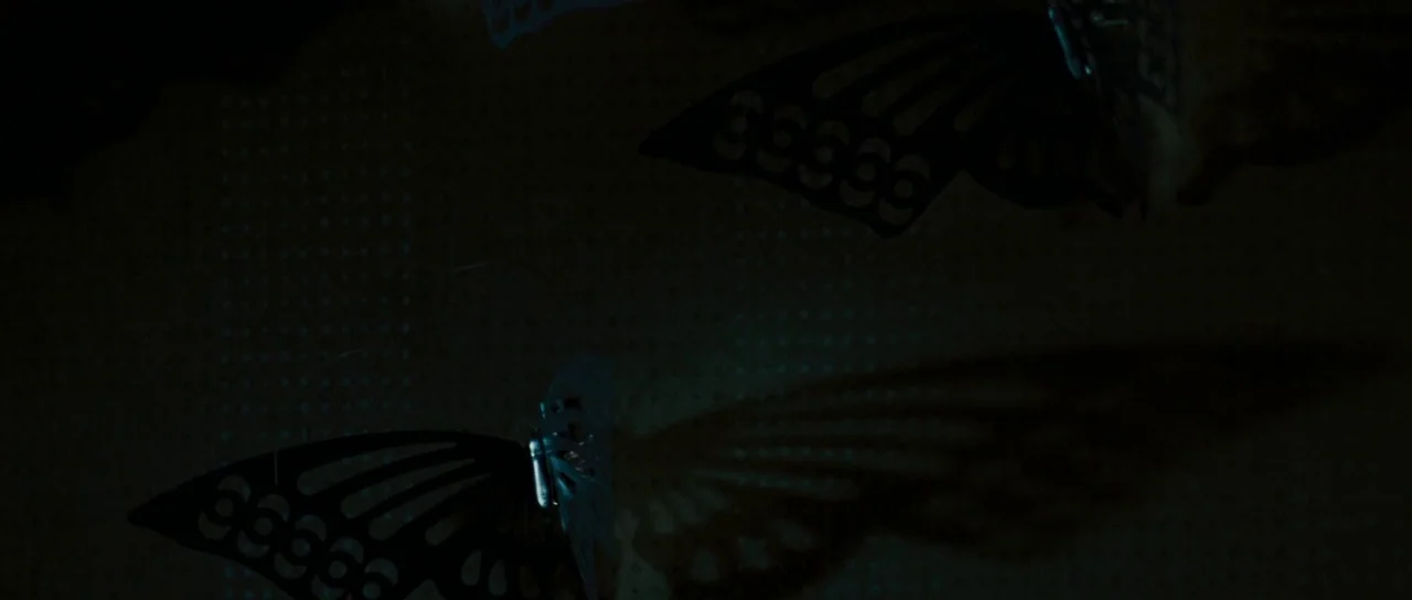 Surveillance (2008) movie still: closeup — A dark surface features two decorative butterflies with intricate cutouts in their wings. The light…