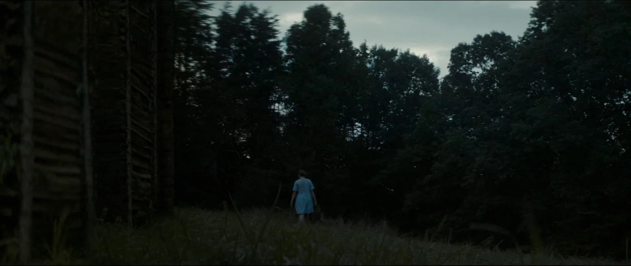 One & Two (2015) movie still: wide — A dark, grassy field edge meets a thick stand of dense, shadowy trees. A single woman in a light blue dress…