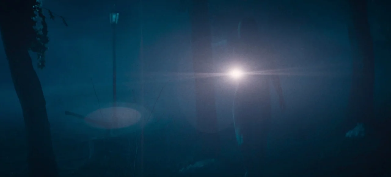 Housewife (2017) movie still: wide — A dark outdoor space at night with trees and a distant lamp post visible. A human silhouette walks forward…