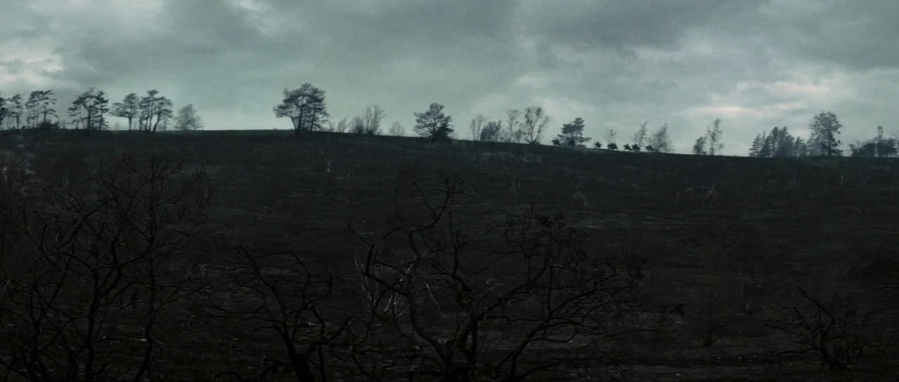 Snow White and The Huntsman (2012) movie still: establishing — A dark, charred landscape features blackened skeletal trees against a backdrop of…