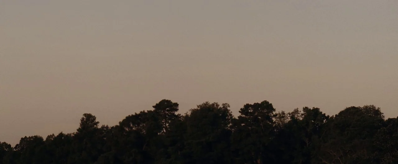Ain’t Them Bodies Saints (2013) movie still: establishing — A dense line of dark deciduous trees sits silhouetted against a vast, overcast sky. The…