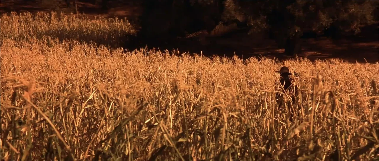 Jeepers Creepers 2 (2003) movie still: wide — A dense field of dry, golden corn stalks extends to the dark edge of trees. A lone figure in a dark…