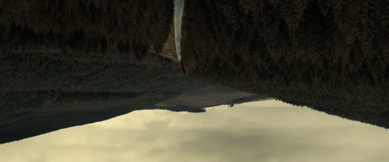 The Hole in the Ground (2019) movie still: establishing — A winding asphalt road cuts through a dark, dense evergreen coniferous forest hillside.…