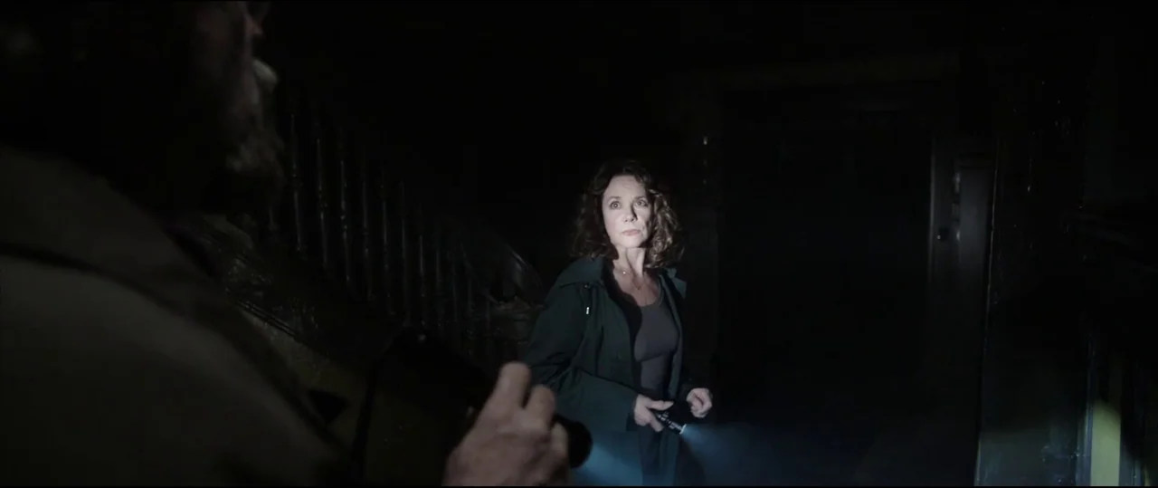 Insidious: Chapter 2 (2013) movie still: medium — A dark staircase inside an old house remains largely obscured by heavy shadows. A woman holding a…