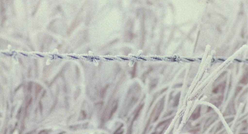 The Indian Runner (1991) movie still: closeup — A length of twisted barbed wire sits horizontally across a field of frosty grass. The metal barbs…