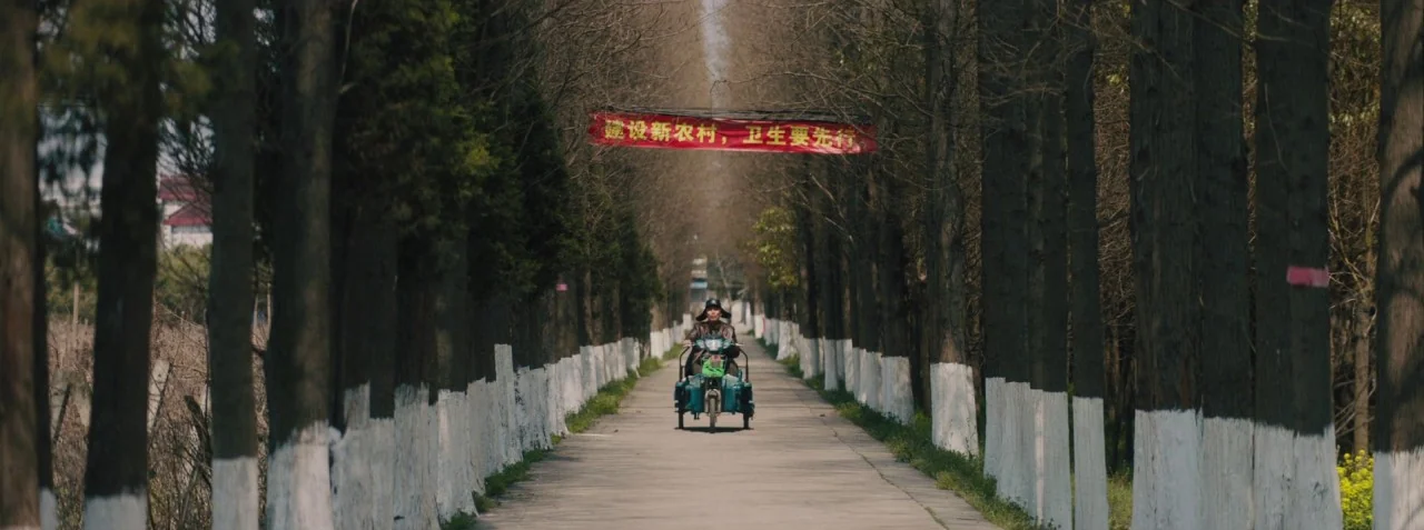 Dead Pigs (2018) movie still: wide — A narrow concrete path stretches into the distance between rows of tall, thin trees. A person drives a small…
