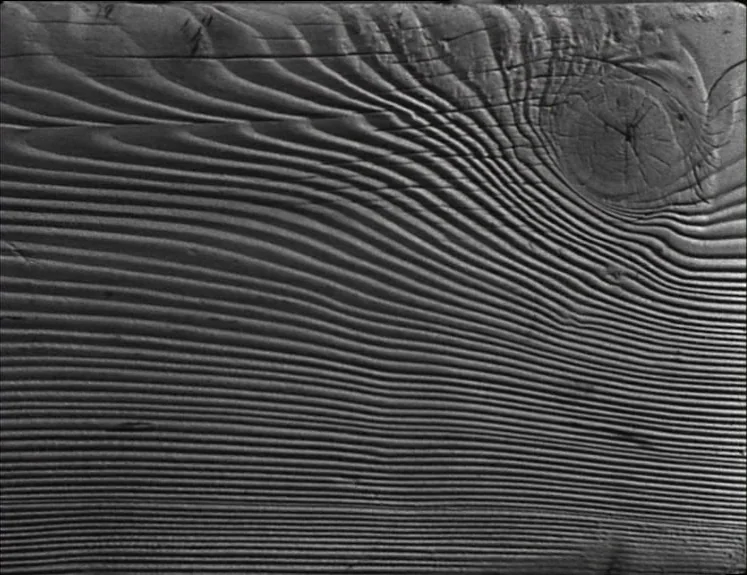 La Pointe Courte (1955) movie still: closeup — A close-up view of textured wooden plank surface with prominent parallel growth rings. A single dark…