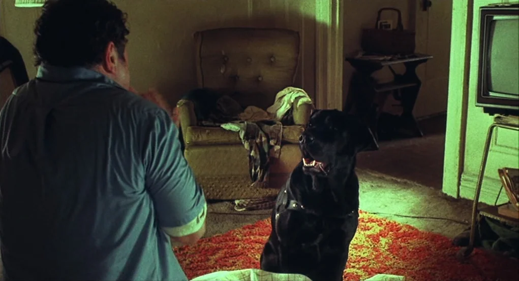 Summer of Sam (1999) movie still: medium — A dimly lit room contains an aged armchair, a television on a stand, and carpet. A man sits on the floor…