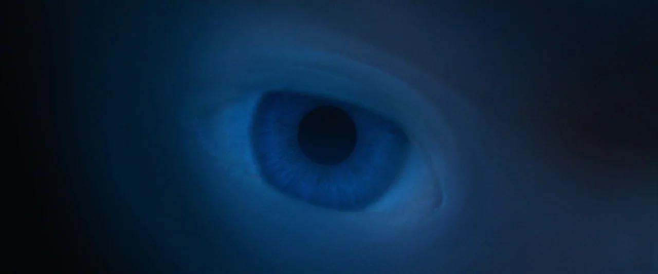 Dune: Part 2 (2024) movie still: closeup — An abstract dark space with a single blue human eye. The eye remains fixed in the center of the frame.
