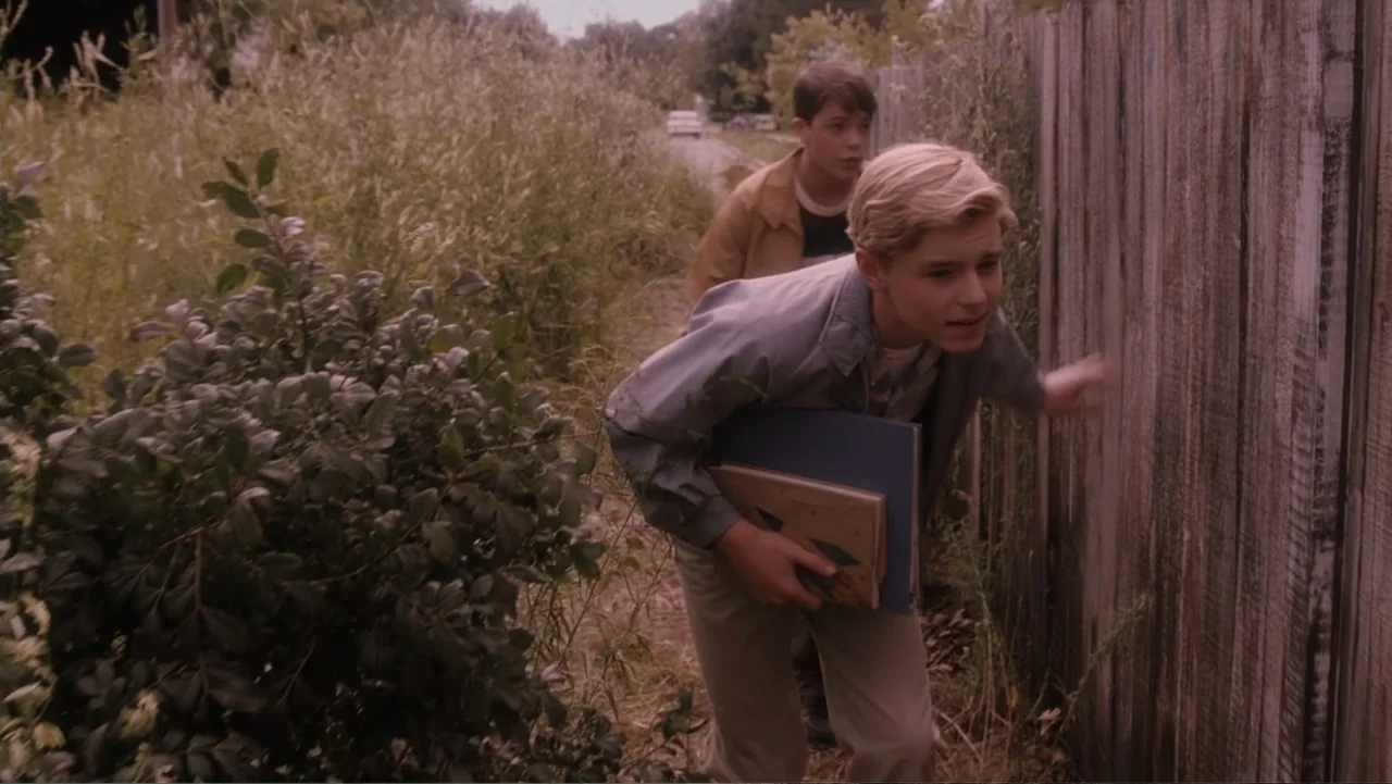 Flipped (2010) movie still: medium — An outdoor pathway bordered by tall overgrown grass and a weathered wooden fence. Two teenage boys carry books…