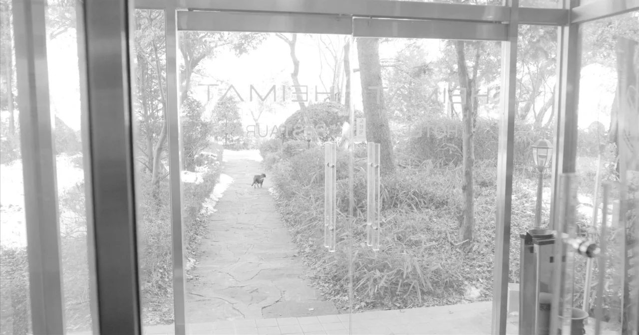 Hotel By The River movie still: wide — A glass doorway looks out onto a stone path leading through a wooded area. A cat stands on the walkway in the…