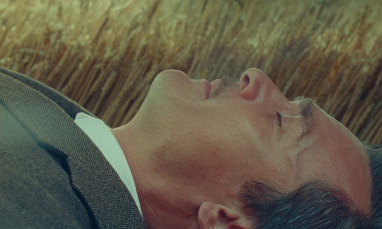 The Swan (2023) movie still: closeup — A man lies supine against a backdrop of golden, dried stalks of wheat. His profile is sharply focused as he…