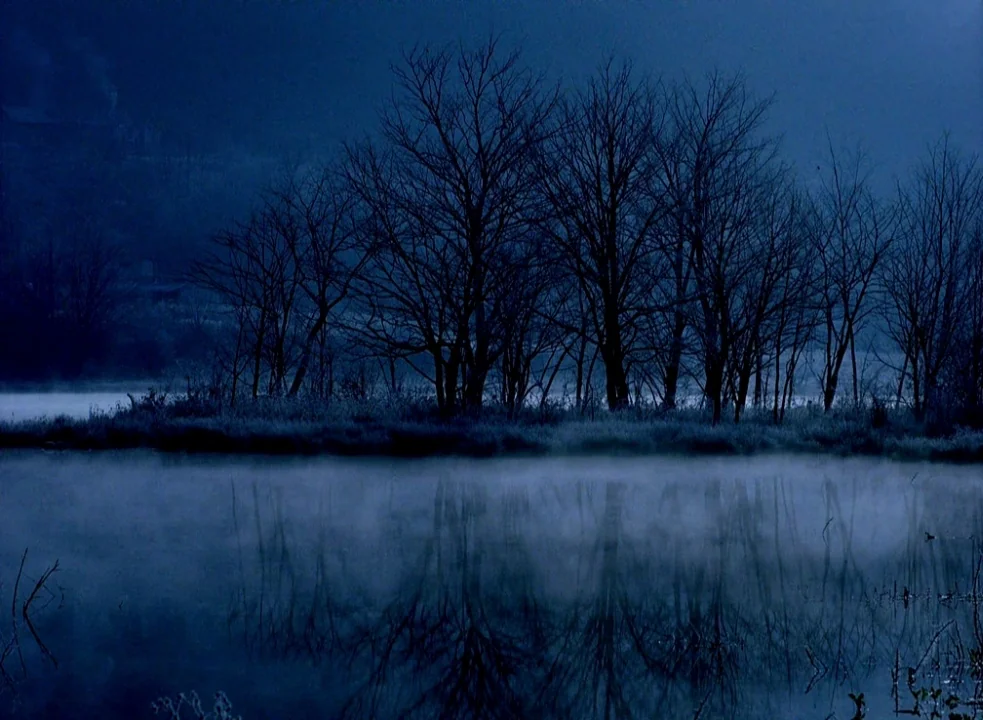 The Assassin (2015) movie still: wide — A dark, still body of water reflects a cluster of leafless trees at night. Low-lying mist blankets the…
