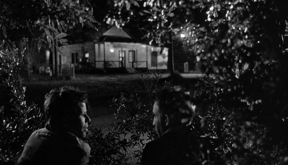 Down By Law (1986) movie still: medium — Two men hide behind thick shrubbery on a suburban street at night. They watch a single-story detached house…