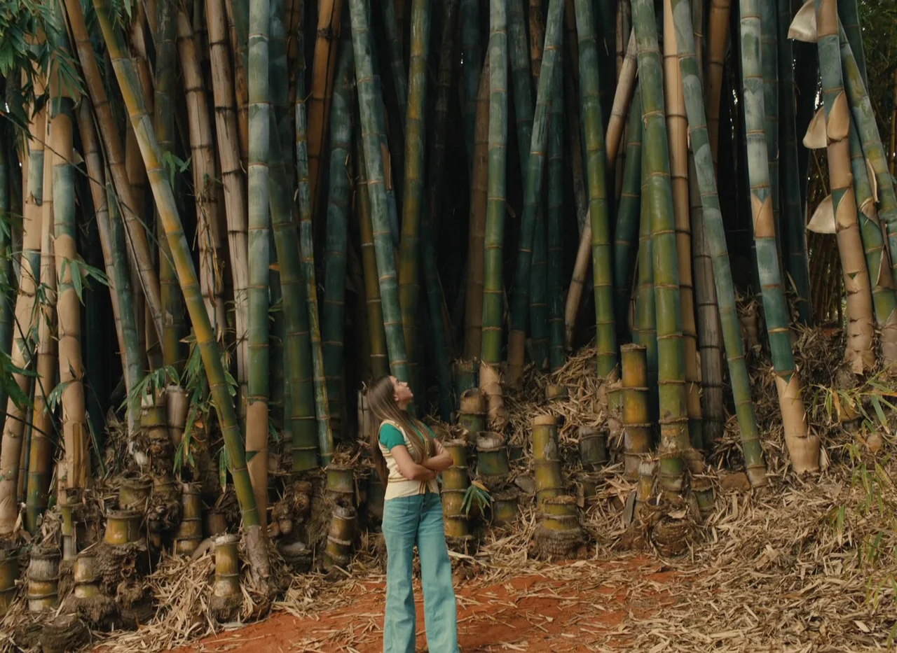 Red Island (2023) movie still: fullbody — A dense grove of tall, thick bamboo stalks fills the frame behind the subject. A woman stands on red dirt,…