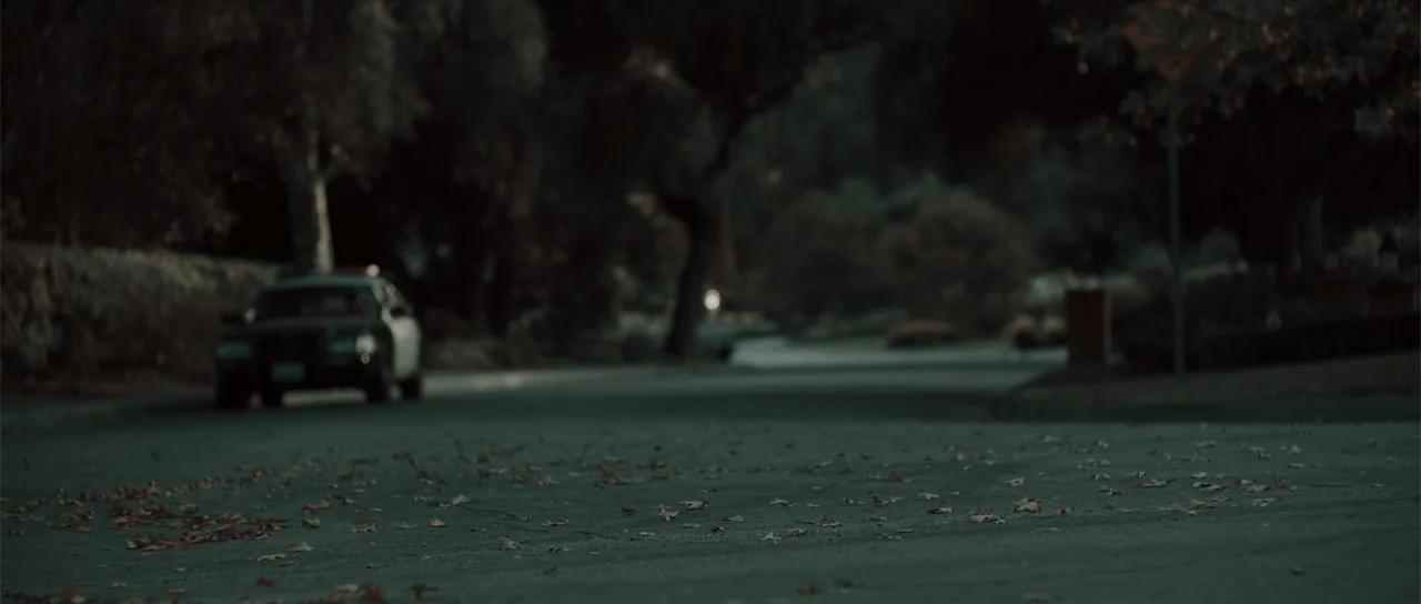 Night of the Missing (2023) movie still: wide — A dark, empty suburban street at night features scattered fallen leaves on the asphalt. A police car…