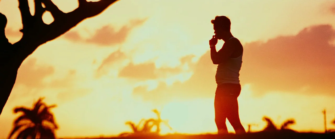 Pain & Gain (2013) movie still: fullbody — An open field at sunset with palm tree silhouettes visible in the periphery. A man stands in profile…
