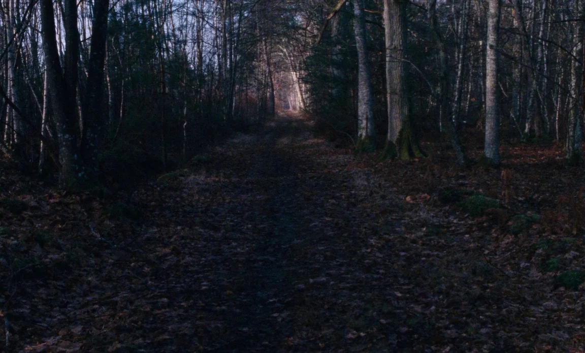 High Life (2018) movie still: establishing — A dirt track winds through a dense thicket of bare deciduous trees and mossy trunks. The path stretches…