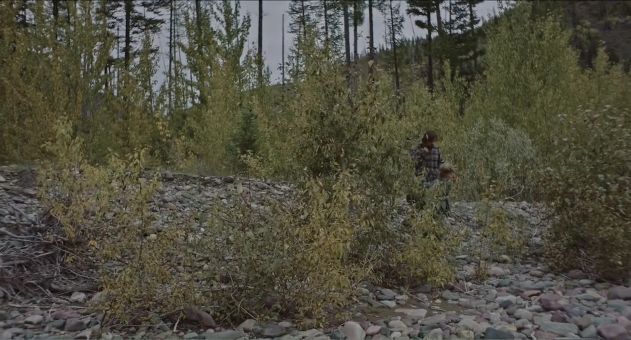 Cowboys (2014) movie still: wide — A dense riverbank area filled with rocks, sparse shrubs, and tall pine trees. A man in a flannel shirt walks…