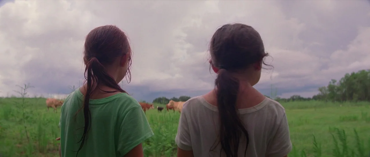 The Florida Project (2017) movie still: medium — Two young girls viewed from behind stand in a lush green pasture under clouds. In the background a…