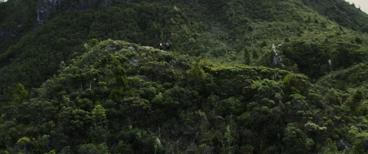 A dense mountain landscape covered in lush green vegetation and dense shrubbery. Two small hikers traverse a narrow trail along the summit of a verdant ridge.