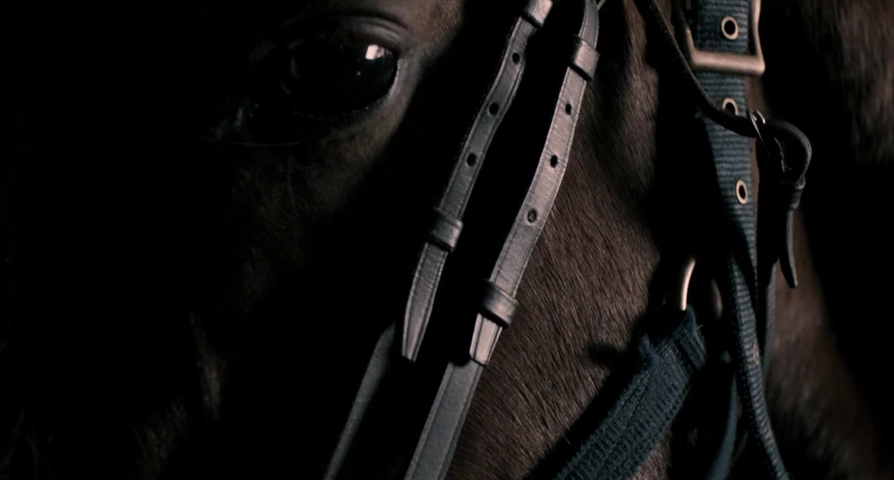 The Selfish Giant (2013) movie still: closeup — A close-up view of a horse's face fitted with leather riding gear and bridle. The eye reflects a…