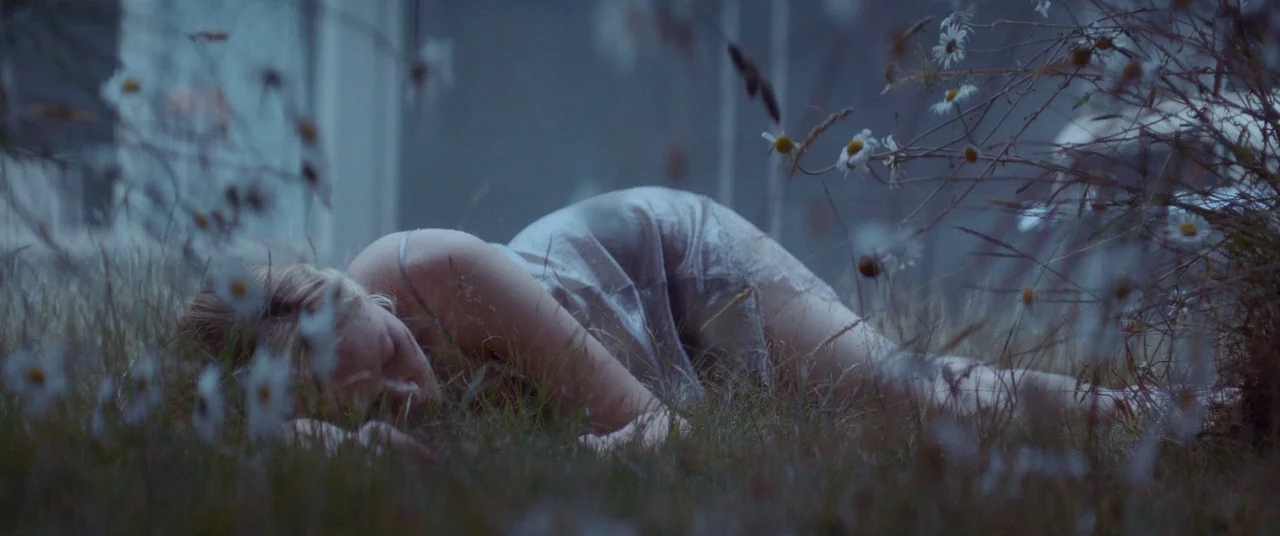Woodshock (2017) movie still: medium — A field covered in tall wild grass and scattered white daisies under nighttime sky. A woman wearing a…