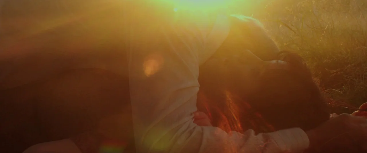 God’s Pocket (2014) movie still: closeup — A field of tall grass bathed in the extreme glow of a low sun. Two figures lie intertwined in the weeds…