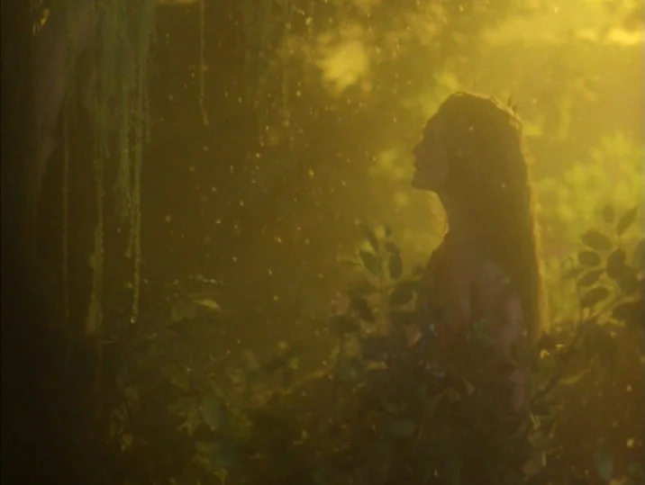 Twilight of the Ice Nymphs (1997) movie still: medium — A dense forest environment is filled with golden sunlight and falling rain particles. A…