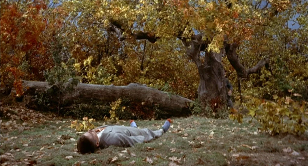 The Trouble With Harry (1955) movie still: wide — A clearing in an autumn woodland features a large, gnarled tree and fallen log. A man in a suit…